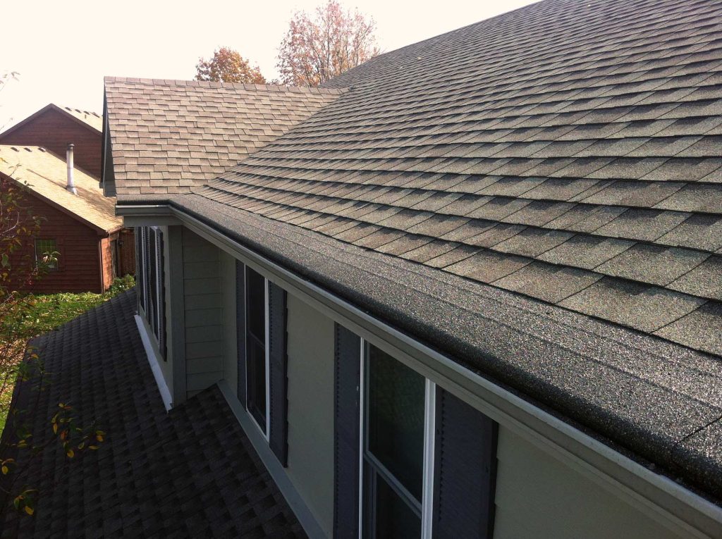 New architectural shingle roof along the side of a single-story home